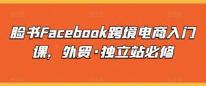 脸书FACEBOOK跨境电商入门课，外贸·独立站必修-七七创业网