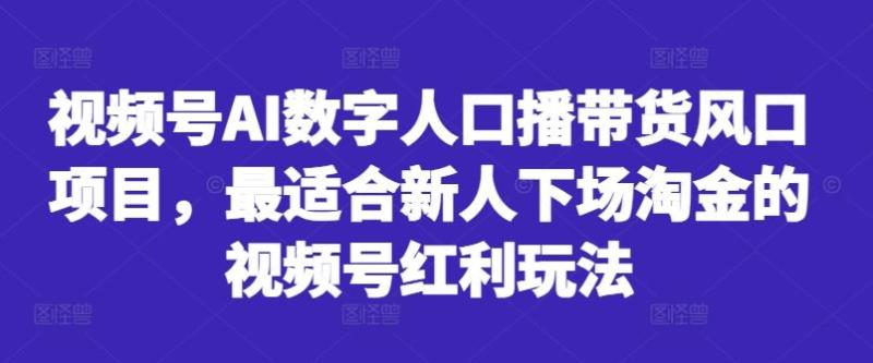 视频号AI数字人口播带货风口项目，最适合新人下场淘金的视频号红利玩法-七七创业网