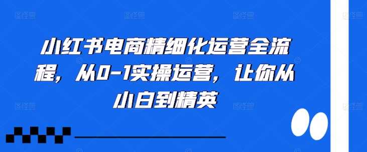 小红书电商精细化运营全流程，从0-1实操运营，让你从小白到精英-七七创业网