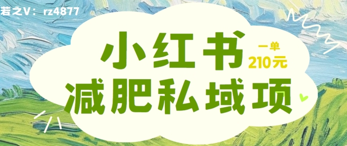 小红书减肥粉，私域变现项目，一单就达210元，小白也能轻松上手【揭秘】-七七创业网