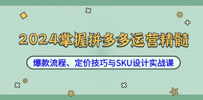 2024掌握拼多多运营精髓：爆款流程、定价技巧与SKU设计实战课-七七创业网